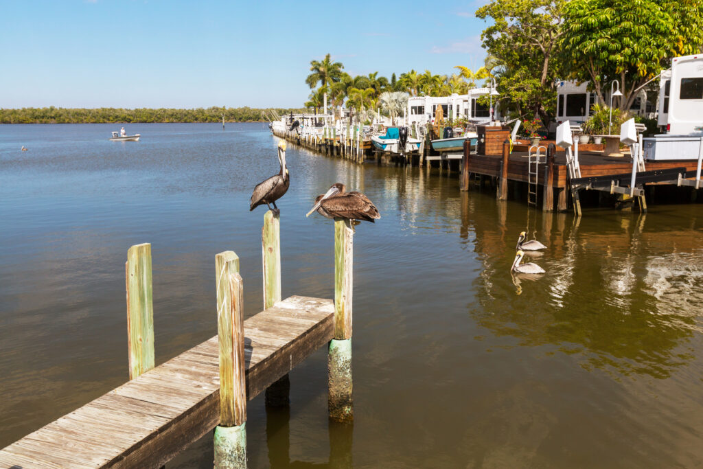 Budget-Friendly Adventure in Key Largo,