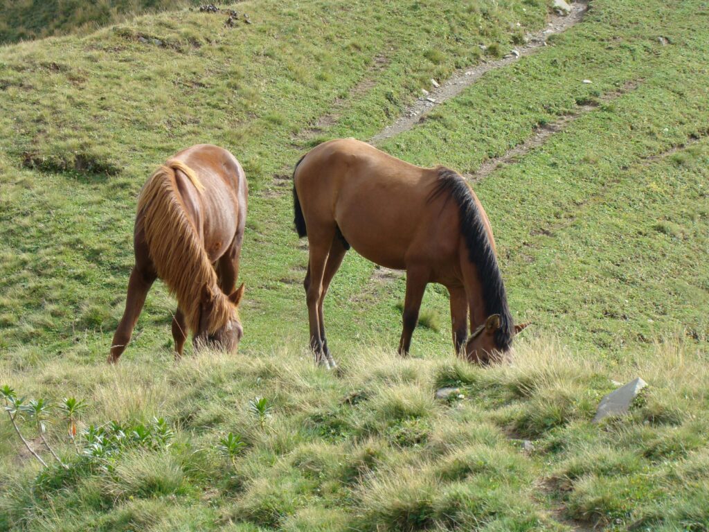 Kualoa Ranch,