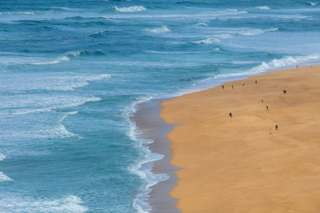 Afternoon at the Beach