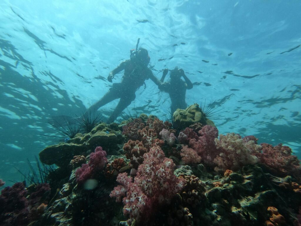 Snorkeling Adventures