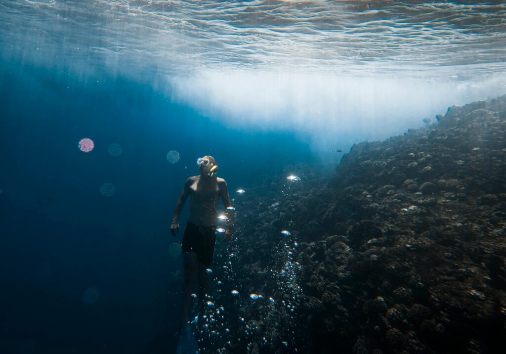 Snorkel and Swim