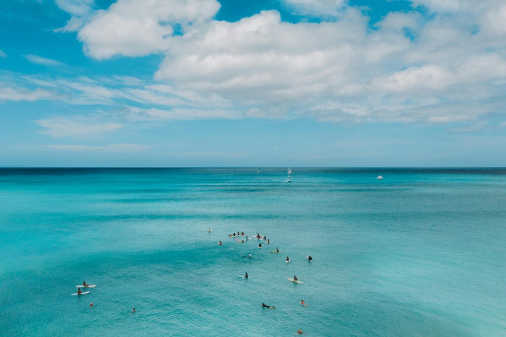 kayaks, paddleboards,