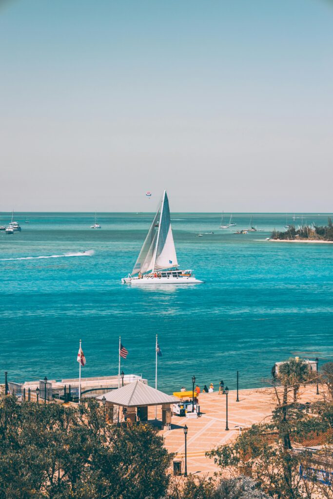 Beautiful view of the Florida Keys with clear blue skies, ocean, palm trees, and tropical islands, symbolizing the natural charm of the Florida Keys