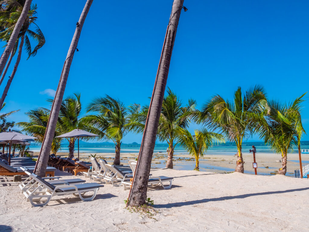 Explore Key Largo