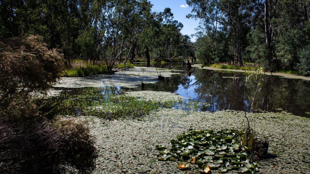 Angel’s Billabong is a natural rock poo
