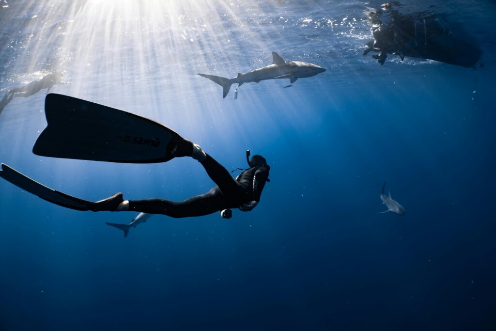 Underwater snorkeling with a diver swimming near sharks, illuminated by sunlight in crystal-clear waters
