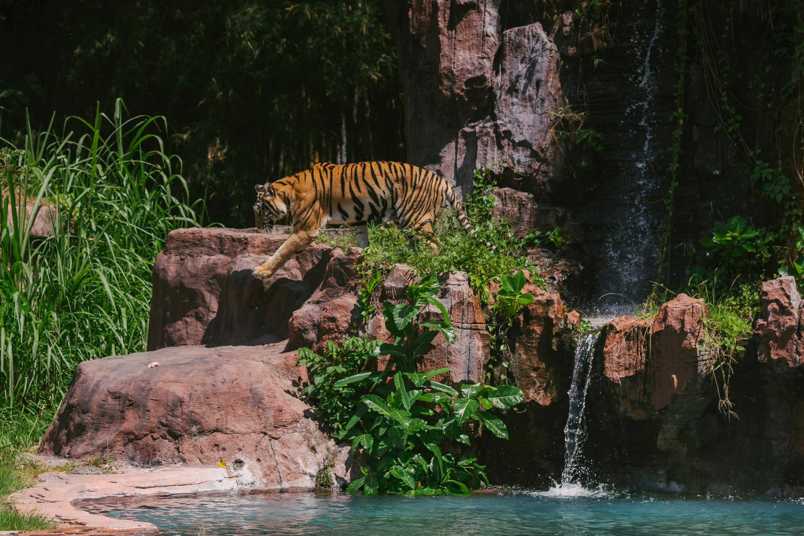 https://travelbyelegance.com/the-perfect-7-day-bali-itinerary-for-first-timers-your-dream-trip/