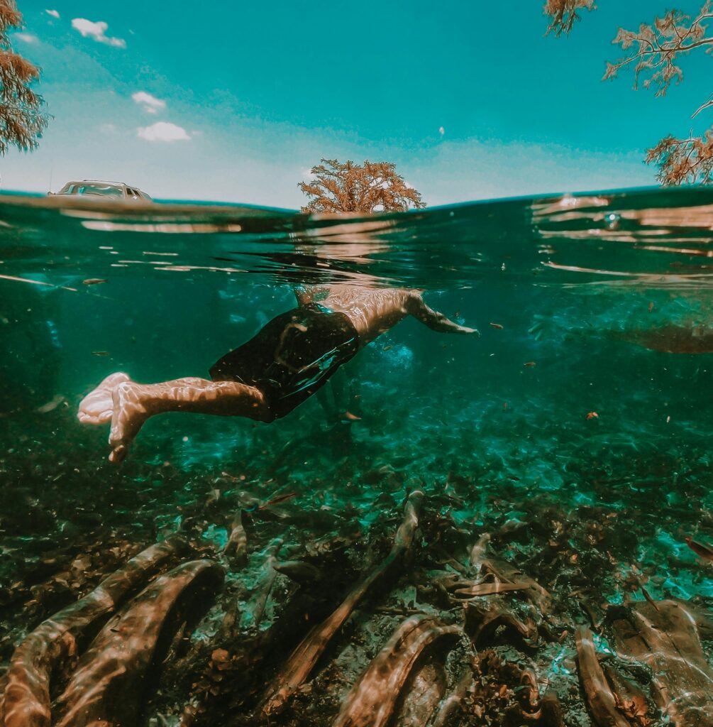 Snorkeling in the clear waters of Mexico Rocks, surrounded by vibrant corals and colorful fish, enjoying a peaceful underwater experience